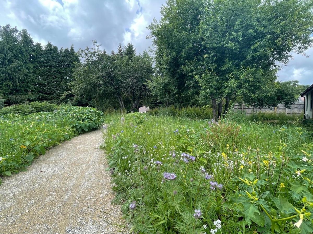 The Bearded Goat Den - A Rural Retreat At This Modern Holiday Cottage سانت ليناردس المظهر الخارجي الصورة