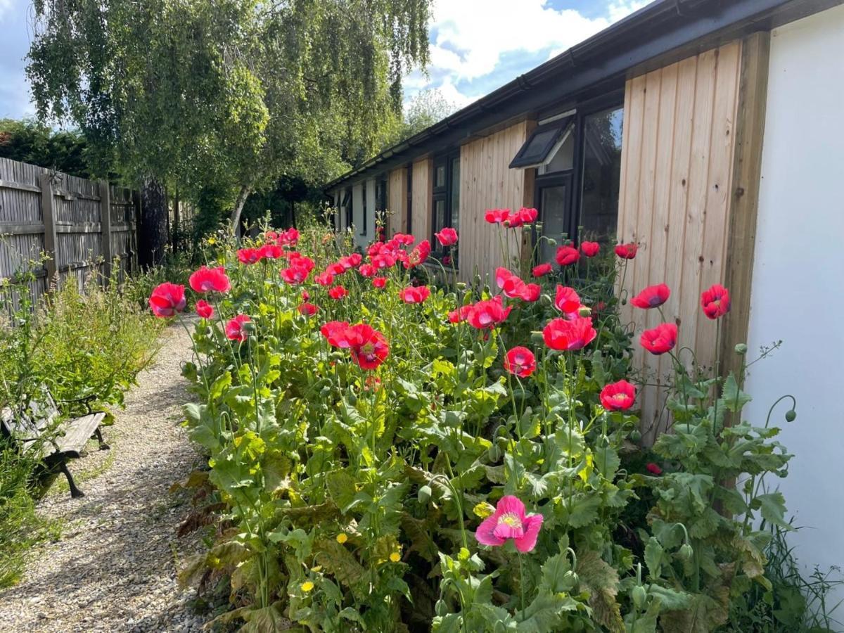 The Bearded Goat Den - A Rural Retreat At This Modern Holiday Cottage سانت ليناردس المظهر الخارجي الصورة